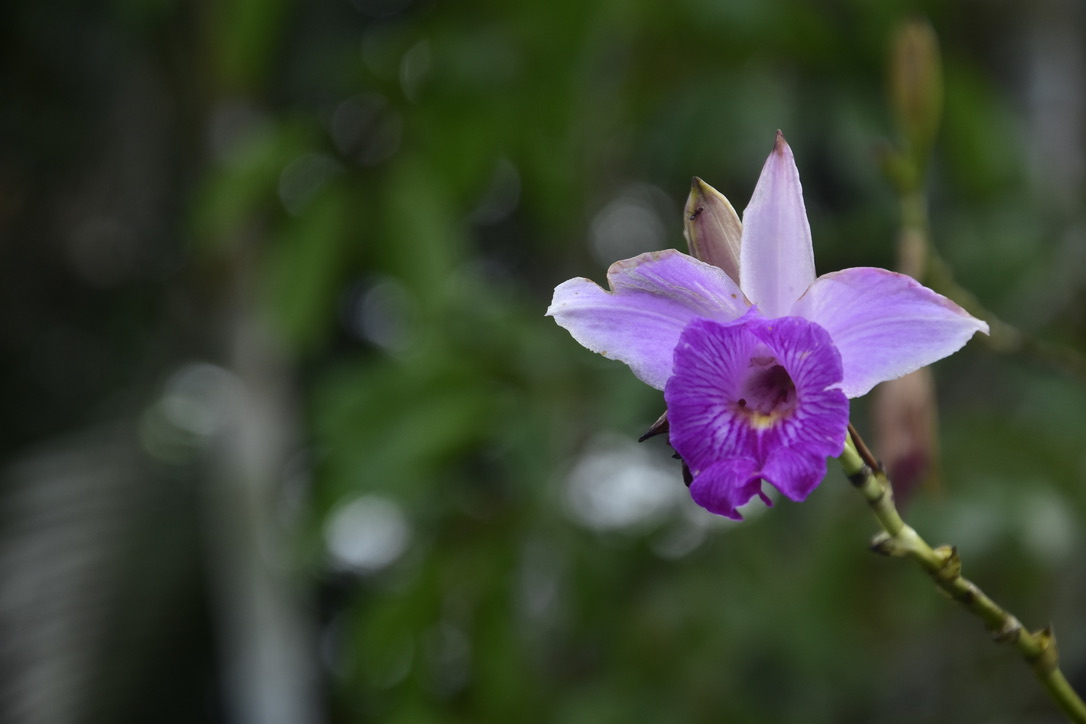 0E3E506F-1AE9-418F-AD16-7504FACA56F0_1_105_c